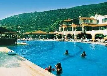 Wow Beach Club